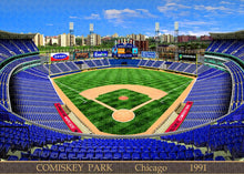 Load image into Gallery viewer, Comiskey Park 1991 - Puzzle