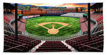 Load image into Gallery viewer, Crosley Field 1919 - Beach Towel