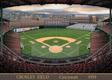 Load image into Gallery viewer, Crosley Field 1919 - Puzzle