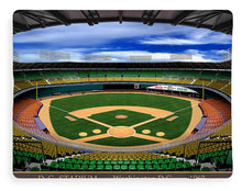 Load image into Gallery viewer, D.C. Stadium 1963 - Blanket