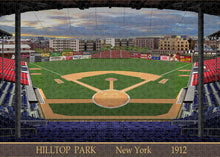 Load image into Gallery viewer, Hilltop Park 1912 - Puzzle