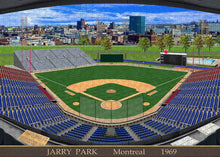 Load image into Gallery viewer, Jarry Park 1969 - Puzzle