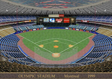 Load image into Gallery viewer, Olympic Stadium 1999 - Puzzle