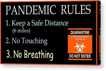Load image into Gallery viewer, Pandemic Rules 3 - Canvas Print