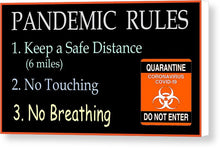 Load image into Gallery viewer, Pandemic Rules 3 - Canvas Print