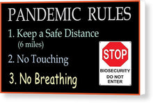Load image into Gallery viewer, Pandemic Rules 4 - Canvas Print