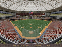 Load image into Gallery viewer, The Astrodome 1975 - Puzzle