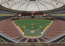 Load image into Gallery viewer, The Astrodome 1975 - Puzzle