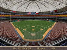 Load image into Gallery viewer, The Astrodome 1994 - Puzzle