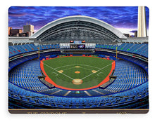 Load image into Gallery viewer, The Skydome 1993 - Blanket
