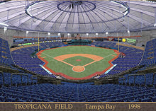 Load image into Gallery viewer, Tropicana Field 1998 - Puzzle