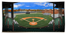 Load image into Gallery viewer, Braves Field 1915 - Bath Towel
