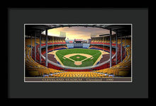 Load image into Gallery viewer, Cleveland Stadium 1990 - Framed Print
