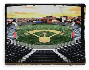 Comiskey Park 1919 - Blanket