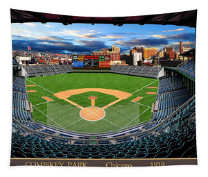 Comiskey Park 1919 - Tapestry