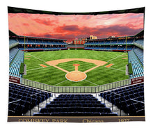 Load image into Gallery viewer, Comiskey Park 1928 - Tapestry
