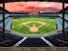 Load image into Gallery viewer, Comiskey Park 1928 - Puzzle
