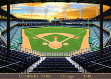 Load image into Gallery viewer, Comiskey Park 1948 - Puzzle
