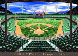 Comiskey Park 1985 - Puzzle