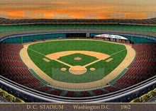 Load image into Gallery viewer, D.C. Stadium 1962 - Puzzle
