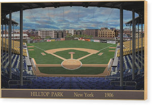 Hilltop Park 1906 - Wood Print