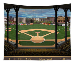 Hilltop Park 1906 - Tapestry