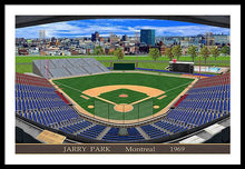 Load image into Gallery viewer, Jarry Park 1969 - Framed Print
