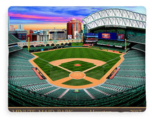 Load image into Gallery viewer, Minute Maid Park 2017 - Blanket
