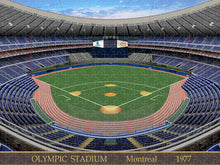 Load image into Gallery viewer, Olympic Stadium 1977 - Puzzle
