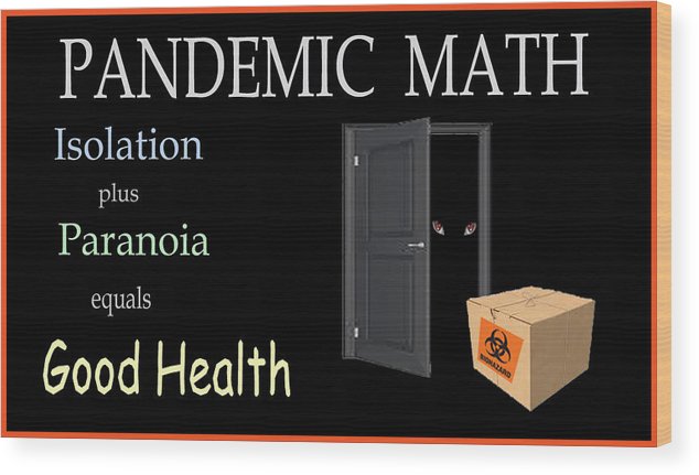 Pandemic Math 1 - Wood Print