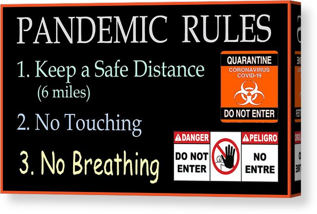 Pandemic Rules 1 - Canvas Print