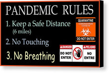 Load image into Gallery viewer, Pandemic Rules 1 - Canvas Print
