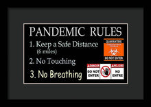 Load image into Gallery viewer, Pandemic Rules 1 - Framed Print
