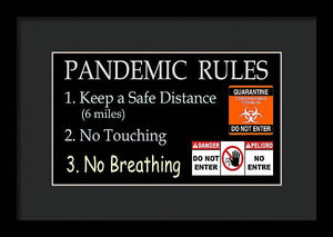 Pandemic Rules 1 - Framed Print