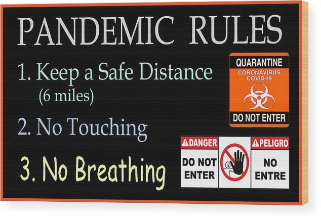 Pandemic Rules 1 - Wood Print