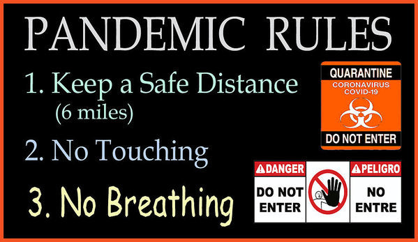 Pandemic Rules 1 - Art Print