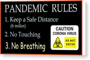 Pandemic Rules 2 - Canvas Print