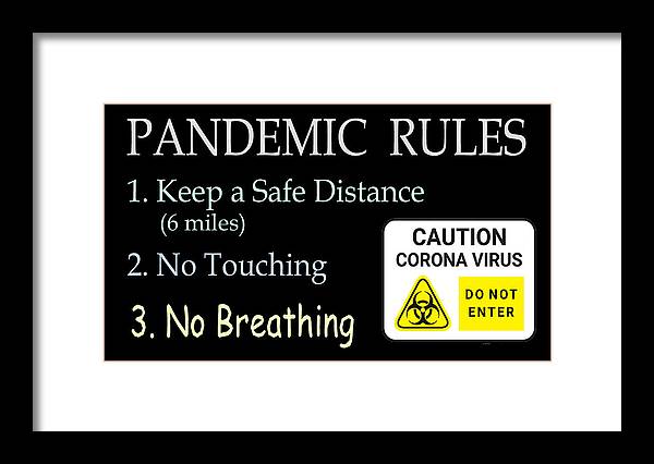 Pandemic Rules 2 - Framed Print