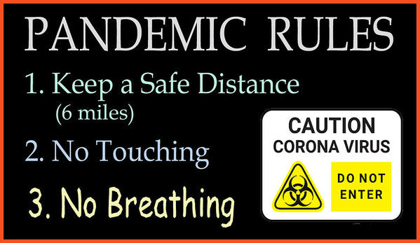 Pandemic Rules 2 - Art Print