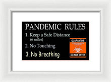 Load image into Gallery viewer, Pandemic Rules 3 - Framed Print
