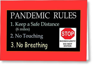 Pandemic Rules 4 - Greeting Card