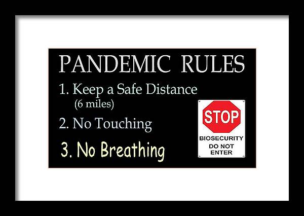 Pandemic Rules 4 - Framed Print