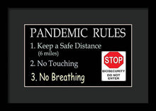 Load image into Gallery viewer, Pandemic Rules 4 - Framed Print
