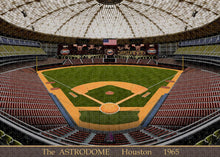 Load image into Gallery viewer, The Astrodome 1965 - Puzzle
