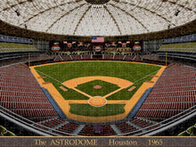 Load image into Gallery viewer, The Astrodome 1965 - Puzzle

