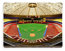 Load image into Gallery viewer, The Astrodome 1980 - Blanket
