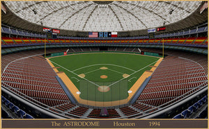 The Astrodome 1994 - Art Print