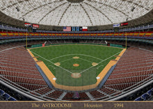 Load image into Gallery viewer, The Astrodome 1994 - Puzzle
