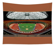 Load image into Gallery viewer, The Astrodome 1994 - Tapestry
