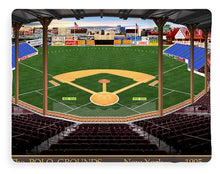 Load image into Gallery viewer, The Polo Grounds 1905 - Blanket
